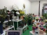 flower shop Cerisier